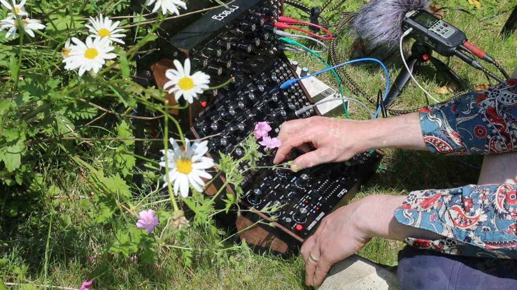 Moog